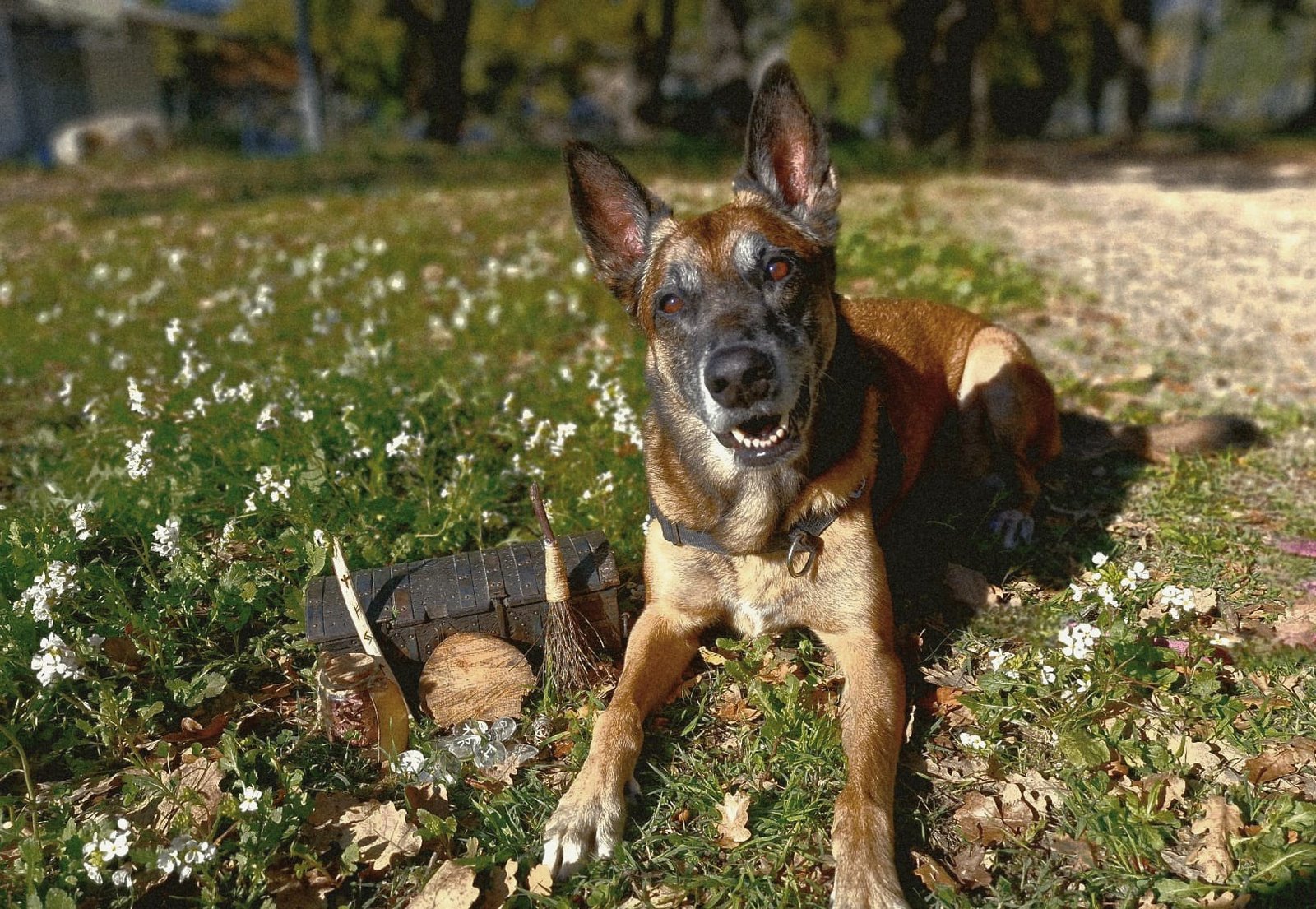 WhatsApp Image 2026-02-26 at 21.32.46